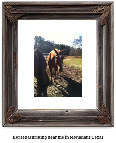 horseback riding near me in Monahans, Texas